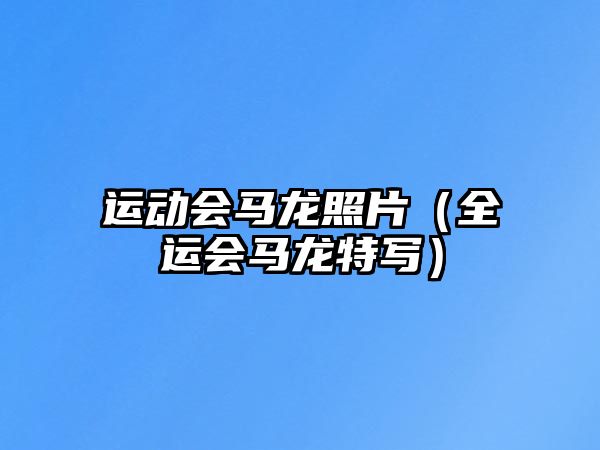 運動會馬龍照片(全運會馬龍?zhí)貙懀? class=