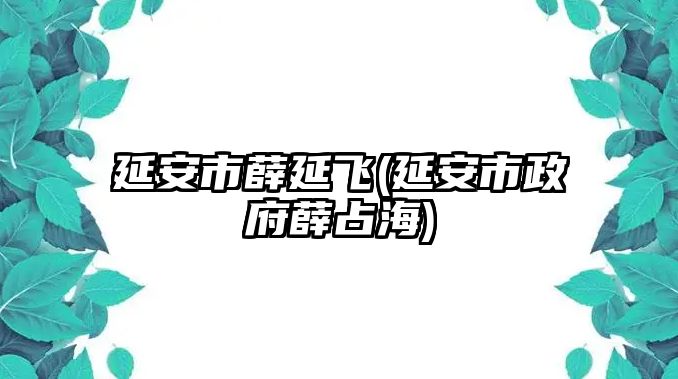 延安市薛延飛(延安市政府薛占海)