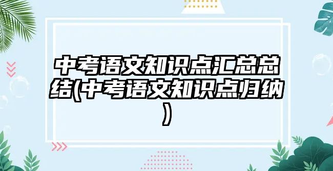 中考語文知識點(diǎn)匯總總結(jié)(中考語文知識點(diǎn)歸納)