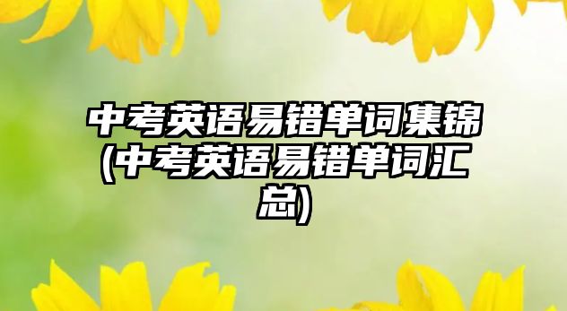 中考英語易錯單詞集錦(中考英語易錯單詞匯總)