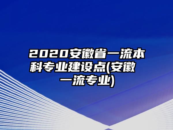 2020安徽省一流本科專業(yè)建設(shè)點(diǎn)(安徽 一流專業(yè))