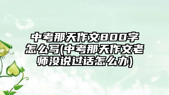 中考那天作文800字怎么寫(中考那天作文老師沒說過話怎么辦)