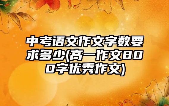 中考語文作文字?jǐn)?shù)要求多少(高一作文800字優(yōu)秀作文)
