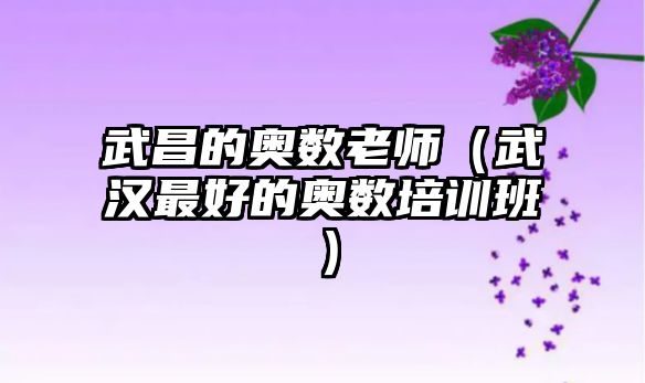武昌的奧數(shù)老師（武漢最好的奧數(shù)培訓(xùn)班）