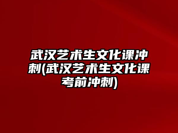 武漢藝術生文化課沖刺(武漢藝術生文化課考前沖刺)