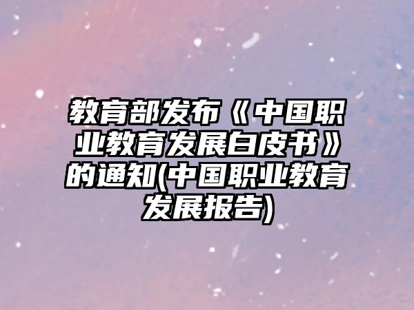 教育部發(fā)布《中國(guó)職業(yè)教育發(fā)展白皮書》的通知(中國(guó)職業(yè)教育發(fā)展報(bào)告)