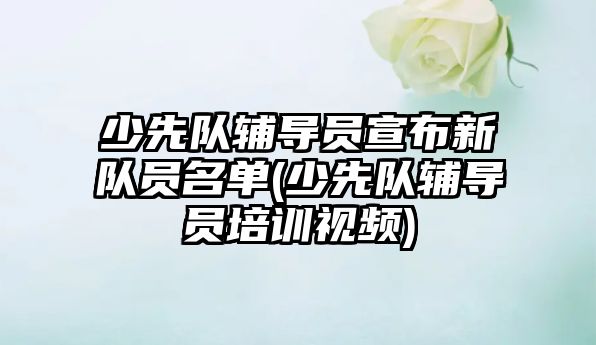 少先隊輔導員宣布新隊員名單(少先隊輔導員培訓視頻)