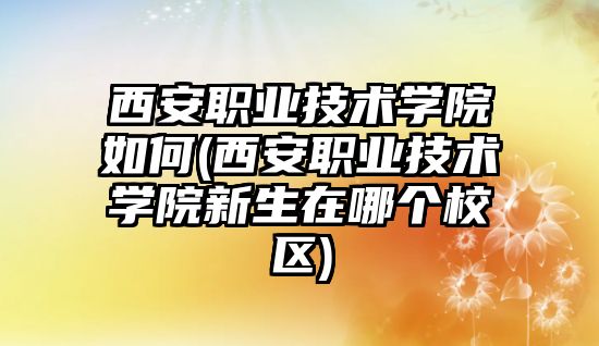 西安職業(yè)技術學院如何(西安職業(yè)技術學院新生在哪個校區(qū))