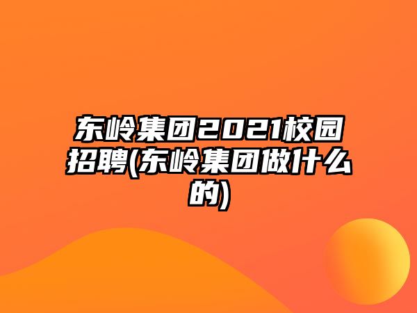 東嶺集團(tuán)2021校園招聘(東嶺集團(tuán)做什么的)