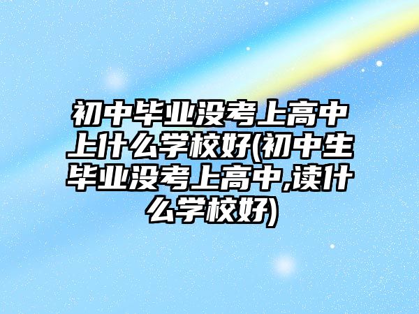 初中畢業(yè)沒考上高中上什么學(xué)校好(初中生畢業(yè)沒考上高中,讀什么學(xué)校好)