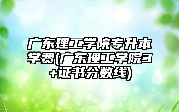 廣東理工學(xué)院專升本學(xué)費(廣東理工學(xué)院3+證書分?jǐn)?shù)線)