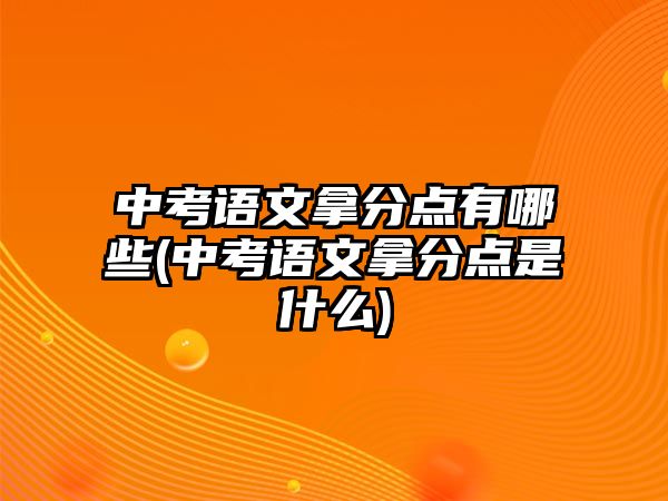 中考語(yǔ)文拿分點(diǎn)有哪些(中考語(yǔ)文拿分點(diǎn)是什么)