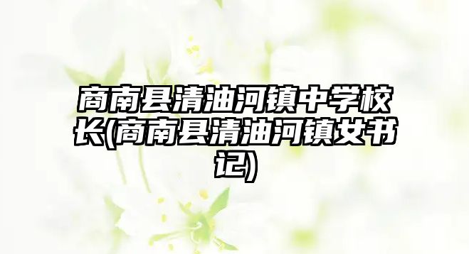 商南縣清油河鎮(zhèn)中學(xué)校長(商南縣清油河鎮(zhèn)女書記)