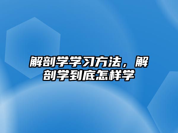 解剖學(xué)學(xué)習(xí)方法，解剖學(xué)到底怎樣學(xué)