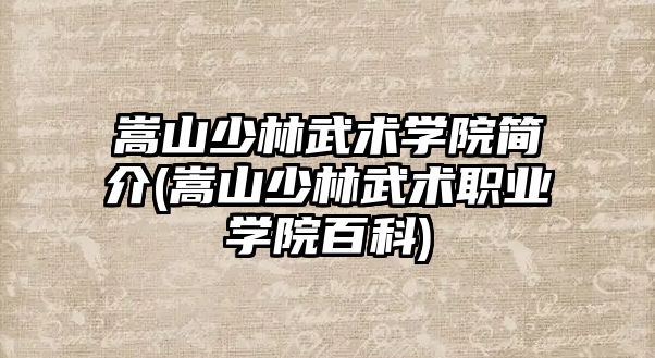 嵩山少林武術(shù)學(xué)院簡介(嵩山少林武術(shù)職業(yè)學(xué)院百科)