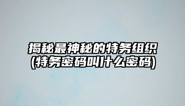 揭秘最神秘的特務(wù)組織(特務(wù)密碼叫什么密碼)