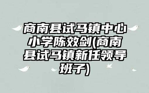 商南縣試馬鎮(zhèn)中心小學(xué)陳效劍(商南縣試馬鎮(zhèn)新任領(lǐng)導(dǎo)班子)