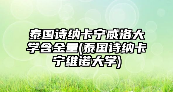 泰國(guó)詩(shī)納卡寧威洛大學(xué)含金量(泰國(guó)詩(shī)納卡寧維諾大學(xué))