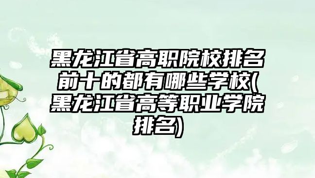 黑龍江省高職院校排名前十的都有哪些學(xué)校(黑龍江省高等職業(yè)學(xué)院排名)