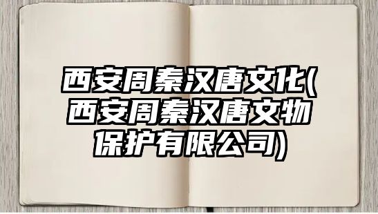 西安周秦漢唐文化(西安周秦漢唐文物保護(hù)有限公司)