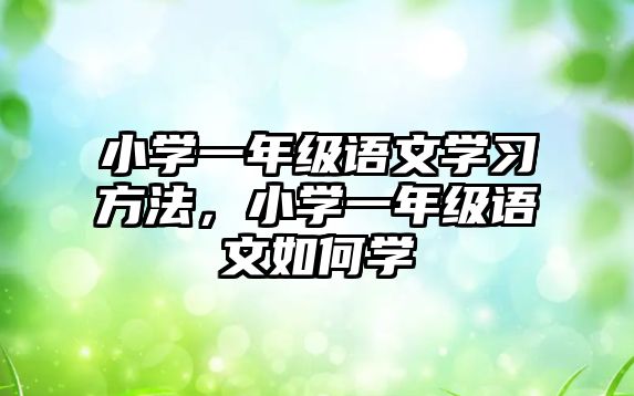 小學(xué)一年級語文學(xué)習(xí)方法，小學(xué)一年級語文如何學(xué)