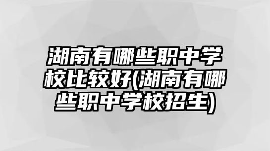 湖南有哪些職中學(xué)校比較好(湖南有哪些職中學(xué)校招生)