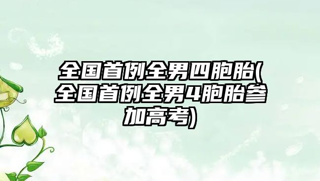 全國(guó)首例全男四胞胎(全國(guó)首例全男4胞胎參加高考)