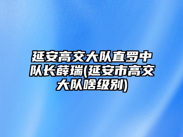 延安高交大隊(duì)直羅中隊(duì)長薛瑞(延安市高交大隊(duì)啥級(jí)別)