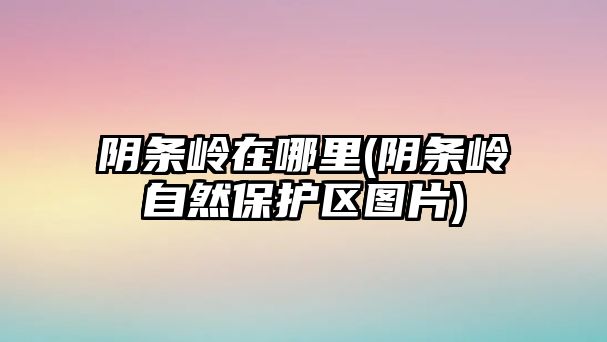 陰條嶺在哪里(陰條嶺自然保護(hù)區(qū)圖片)