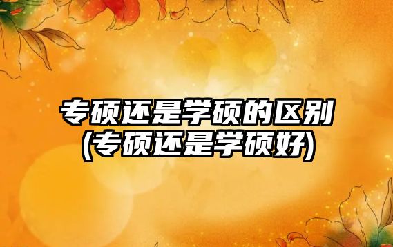 專碩還是學(xué)碩的區(qū)別(專碩還是學(xué)碩好)
