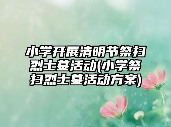 小學(xué)開展清明節(jié)祭掃烈士墓活動(dòng)(小學(xué)祭掃烈士墓活動(dòng)方案)