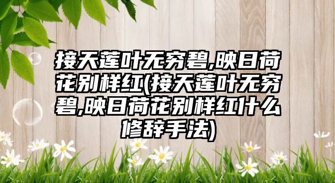 接天蓮葉無窮碧,映日荷花別樣紅(接天蓮葉無窮碧,映日荷花別樣紅什么修辭手法)