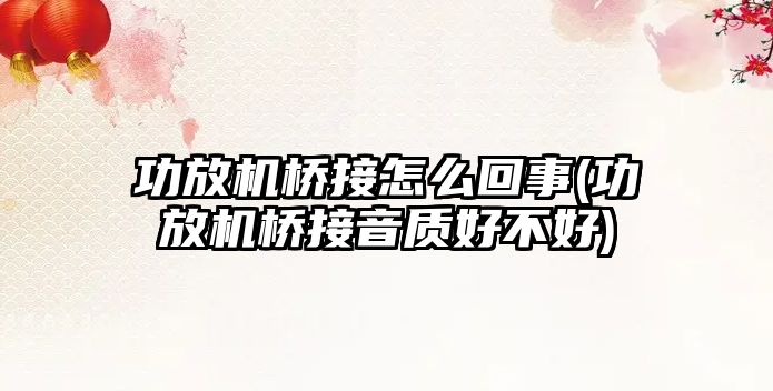 功放機橋接怎么回事(功放機橋接音質好不好)