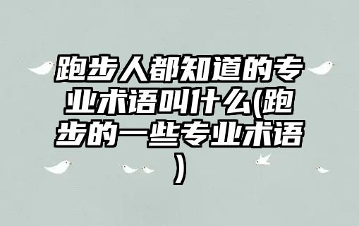 跑步人都知道的專業(yè)術(shù)語叫什么(跑步的一些專業(yè)術(shù)語)