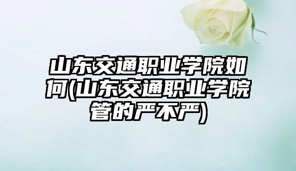 山東交通職業(yè)學(xué)院如何(山東交通職業(yè)學(xué)院管的嚴不嚴)