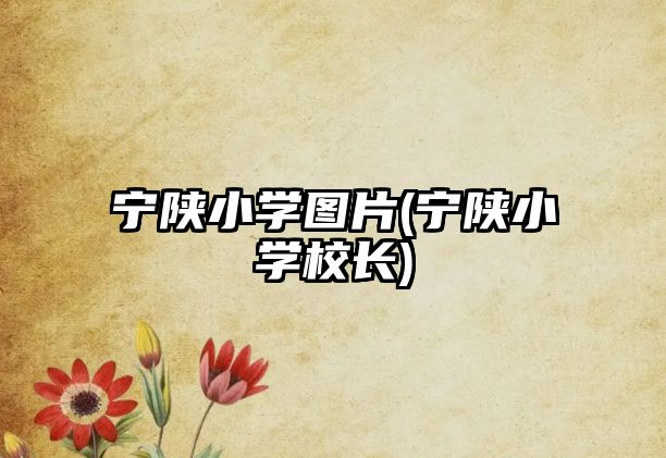 寧陜小學圖片(寧陜小學校長)