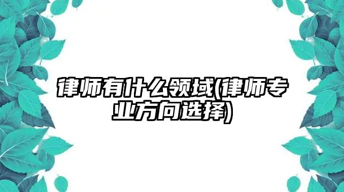 律師有什么領(lǐng)域(律師專業(yè)方向選擇)