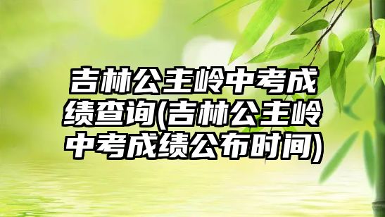 吉林公主嶺中考成績(jī)查詢(吉林公主嶺中考成績(jī)公布時(shí)間)
