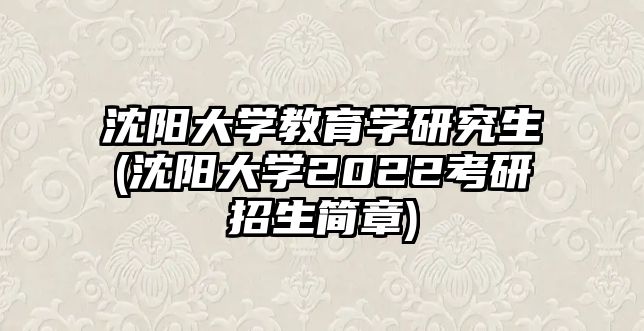 沈陽大學教育學研究生(沈陽大學2022考研招生簡章)