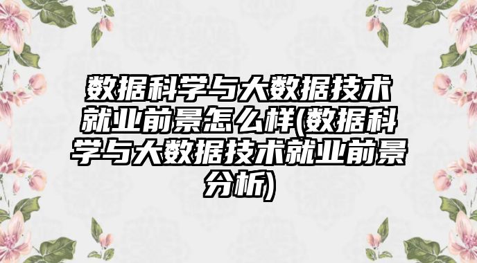 數(shù)據(jù)科學(xué)與大數(shù)據(jù)技術(shù)就業(yè)前景怎么樣(數(shù)據(jù)科學(xué)與大數(shù)據(jù)技術(shù)就業(yè)前景分析)