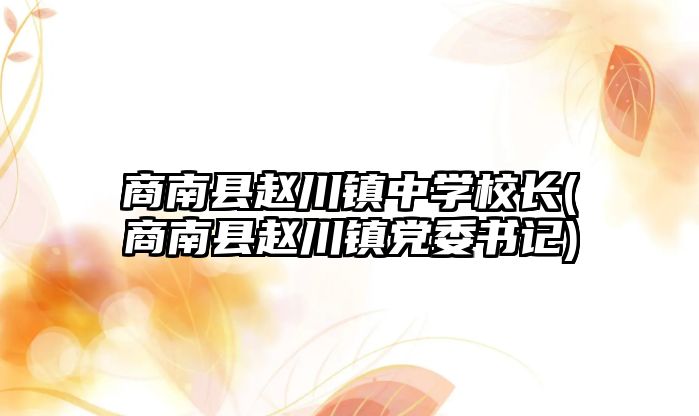 商南縣趙川鎮(zhèn)中學(xué)校長(zhǎng)(商南縣趙川鎮(zhèn)黨委書記)