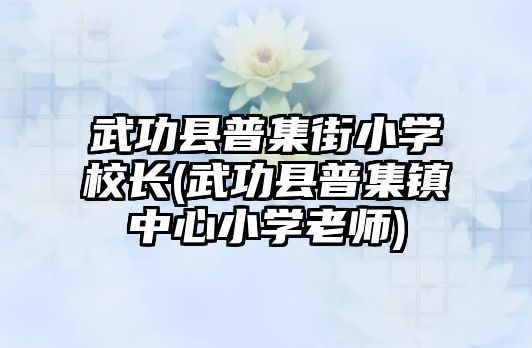 武功縣普集街小學(xué)校長(zhǎng)(武功縣普集鎮(zhèn)中心小學(xué)老師)