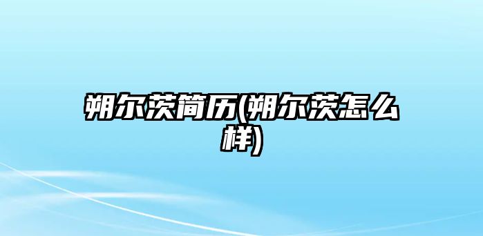 朔爾茨簡(jiǎn)歷(朔爾茨怎么樣)