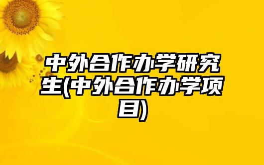 中外合作辦學(xué)研究生(中外合作辦學(xué)項(xiàng)目)