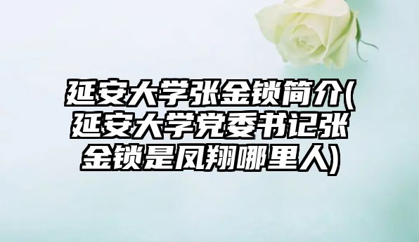 延安大學(xué)張金鎖簡介(延安大學(xué)黨委書記張金鎖是鳳翔哪里人)