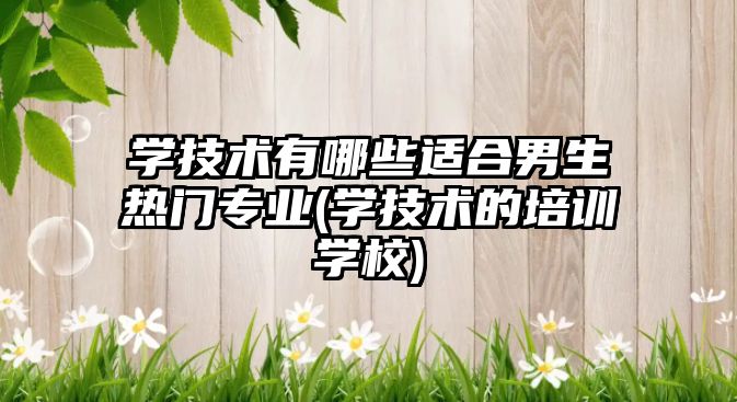 學技術有哪些適合男生熱門專業(yè)(學技術的培訓學校)