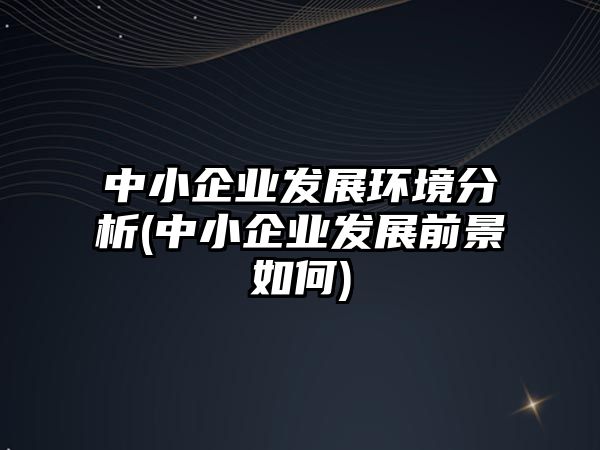 中小企業(yè)發(fā)展環(huán)境分析(中小企業(yè)發(fā)展前景如何)
