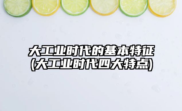 大工業(yè)時(shí)代的基本特征(大工業(yè)時(shí)代四大特點(diǎn))