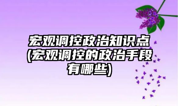 宏觀調(diào)控政治知識點(宏觀調(diào)控的政治手段有哪些)