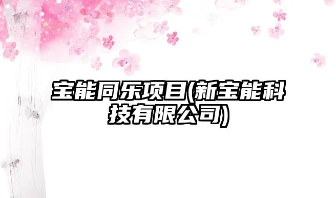 寶能同樂(lè)項(xiàng)目(新寶能科技有限公司)